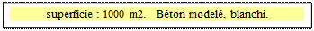 Zone de Texte: superficie : 1000 m2.   Béton modelé, blanchi.  

