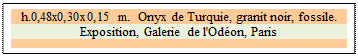 Zone de Texte: h.0,48x0,30x0,15 m.  Onyx de Turquie, granit noir, fossile. 
Exposition, Galerie de l'Odon, Paris

