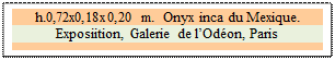 Zone de Texte: h.0,72x0,18x0,20 m.  Onyx inca du Mexique.
Exposiition, Galerie de lOdon, Paris
 
